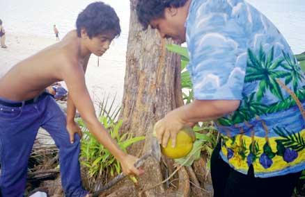 Ariki och Mano öppnar kokosnöten, som Mano just har plockat från toppen av en palm, och bjuder på kokosmjölken.