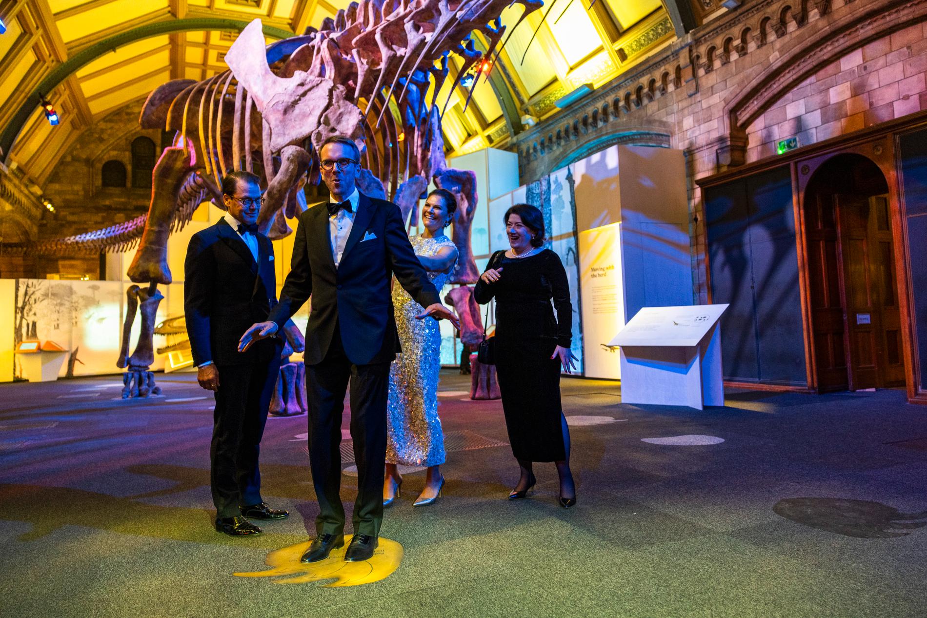 Infrastrukturminister Andreas Carlson ställer sig på ett fotavtryck av en dinosaurie. Avtrycket darrar när man står på det och Victoria kan inte hålla sig för skratt. 