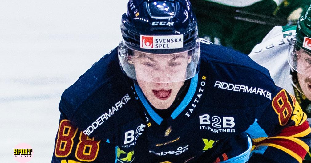 Djurgården Hockey: Tung skadesmäll för Djurgården