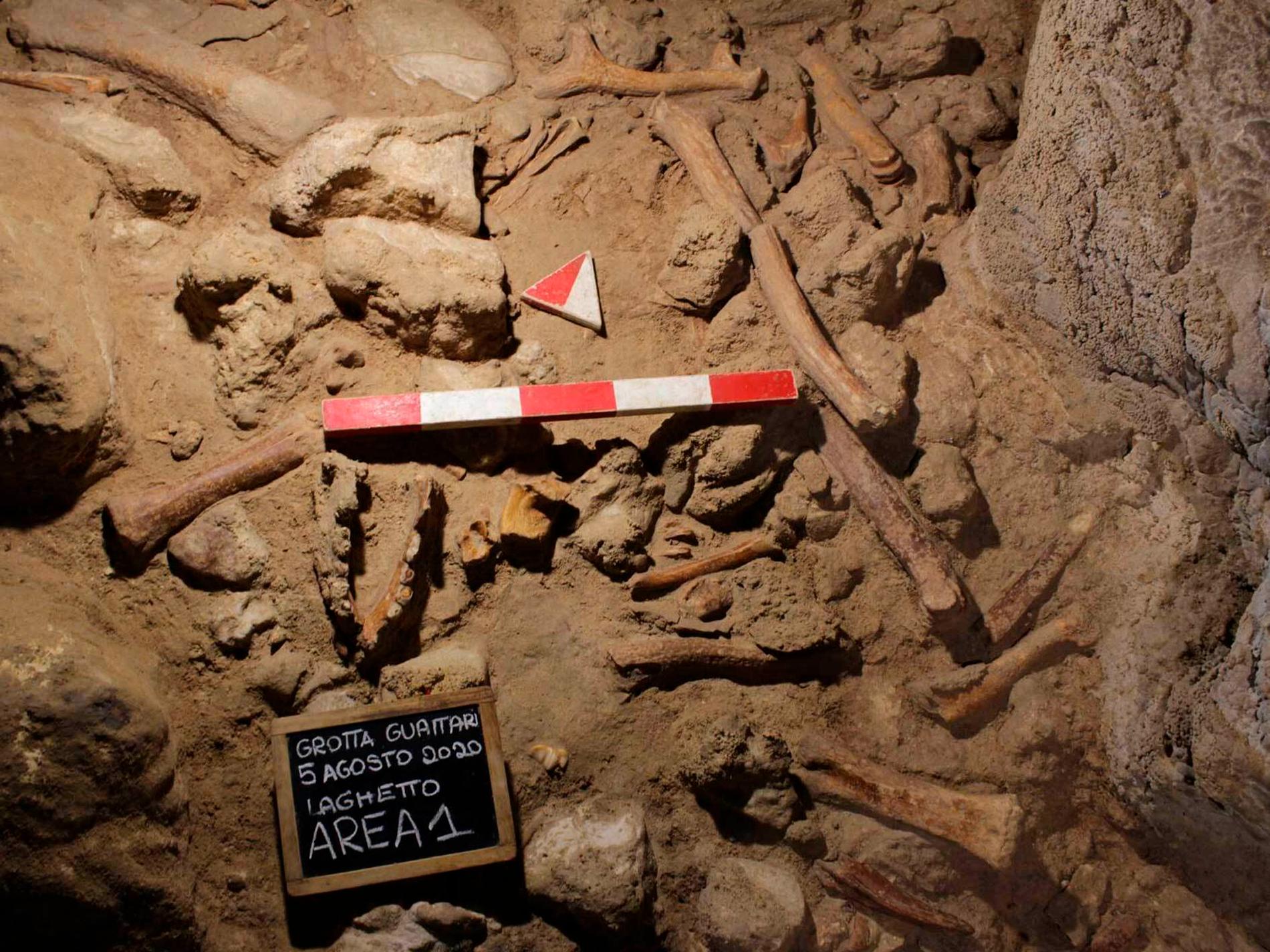 Delar av fynden av neandertalare i en grotta utanför Rom i Italien.