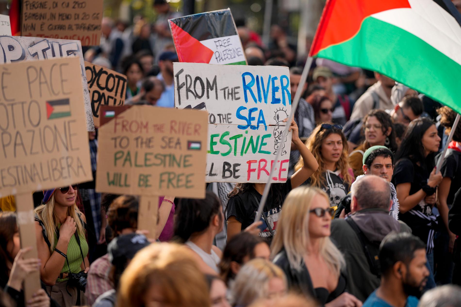 Bevisbördan ligger hos de som anser att slagordet ””From the river to the sea – Palestine will be free” uttrycker hat mot judar, skriver Shora Esmailian.
