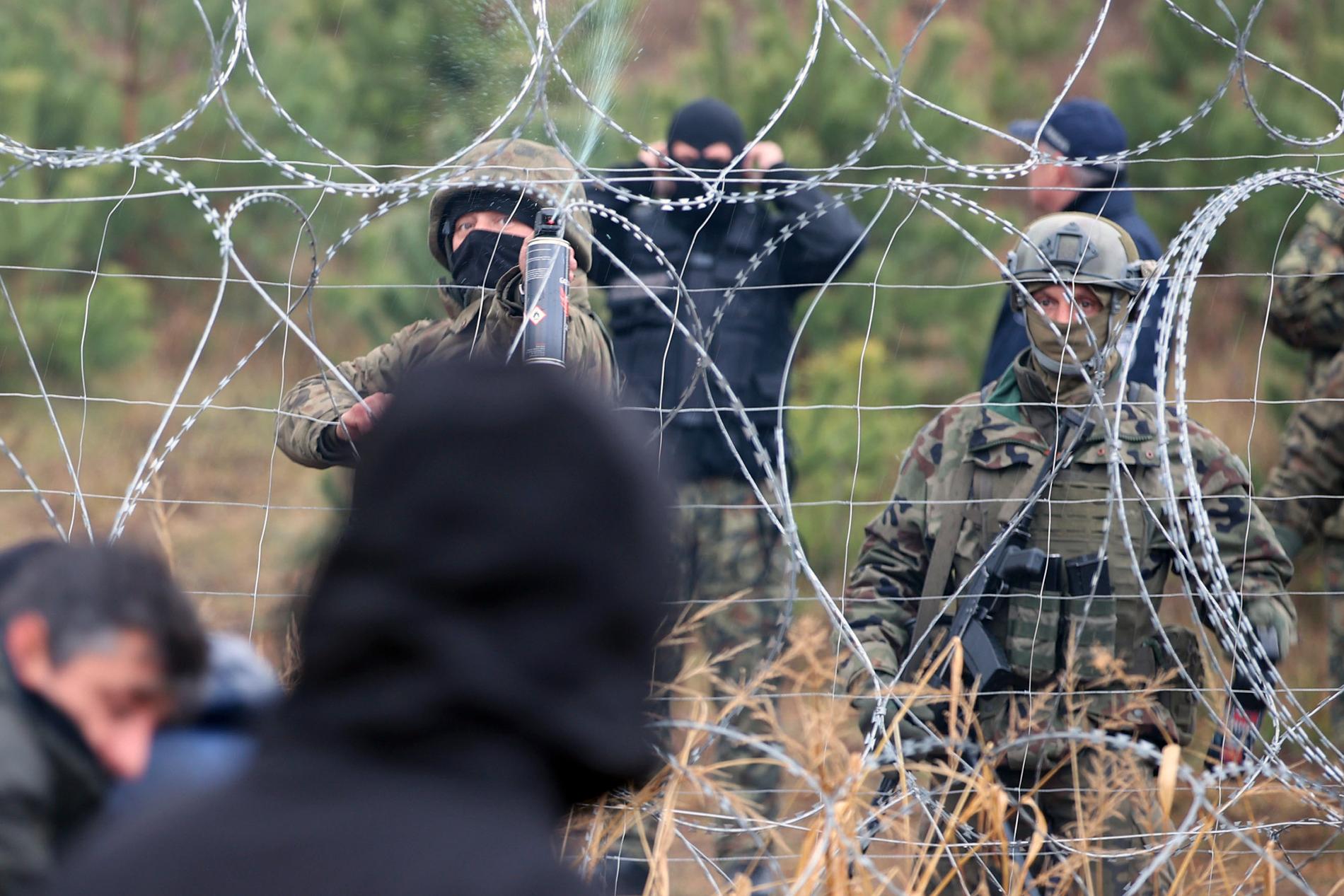 Polska gränsvakter ses bakom taggtråden vid gränsen mot Belarus i ett foto taget av den statliga belarusiska nyhetsbyrån Belta.