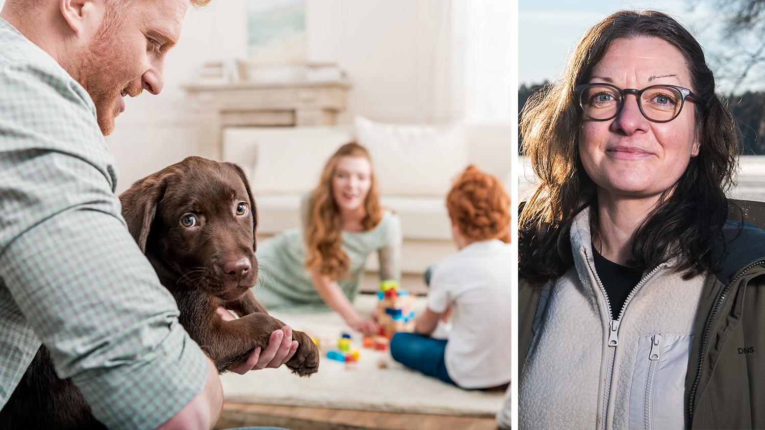 Får hunden vara i soffan? Det är en av många frågor där det är bra om familjen är överens. ”Ha ett familjeråd. Diskutera vilka regler som ska gälla, så ni har en gemensam linje”, tipsar hundpsykologen Linda Atmer.