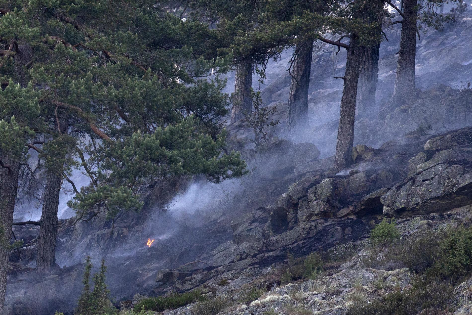 Många bränder rasar i norska skogar och marker. Både civilförsvaret och hemvärnet bistår brandkåren i släckningsarbetet. Arkivbild.