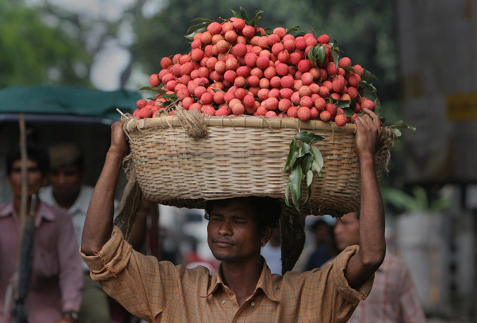 En försäljare bär en korg med litchifrukt i Indien. Arkivbild.