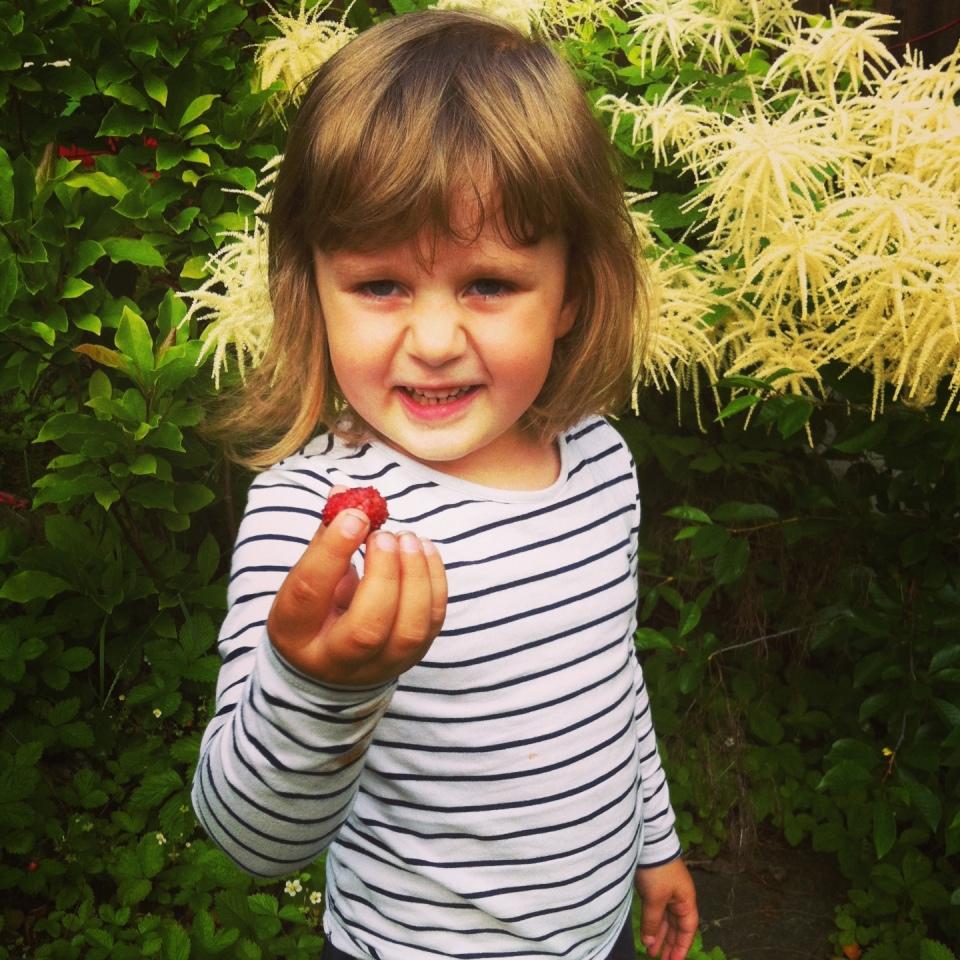 Emma plockar smultron hemma i trädgården.