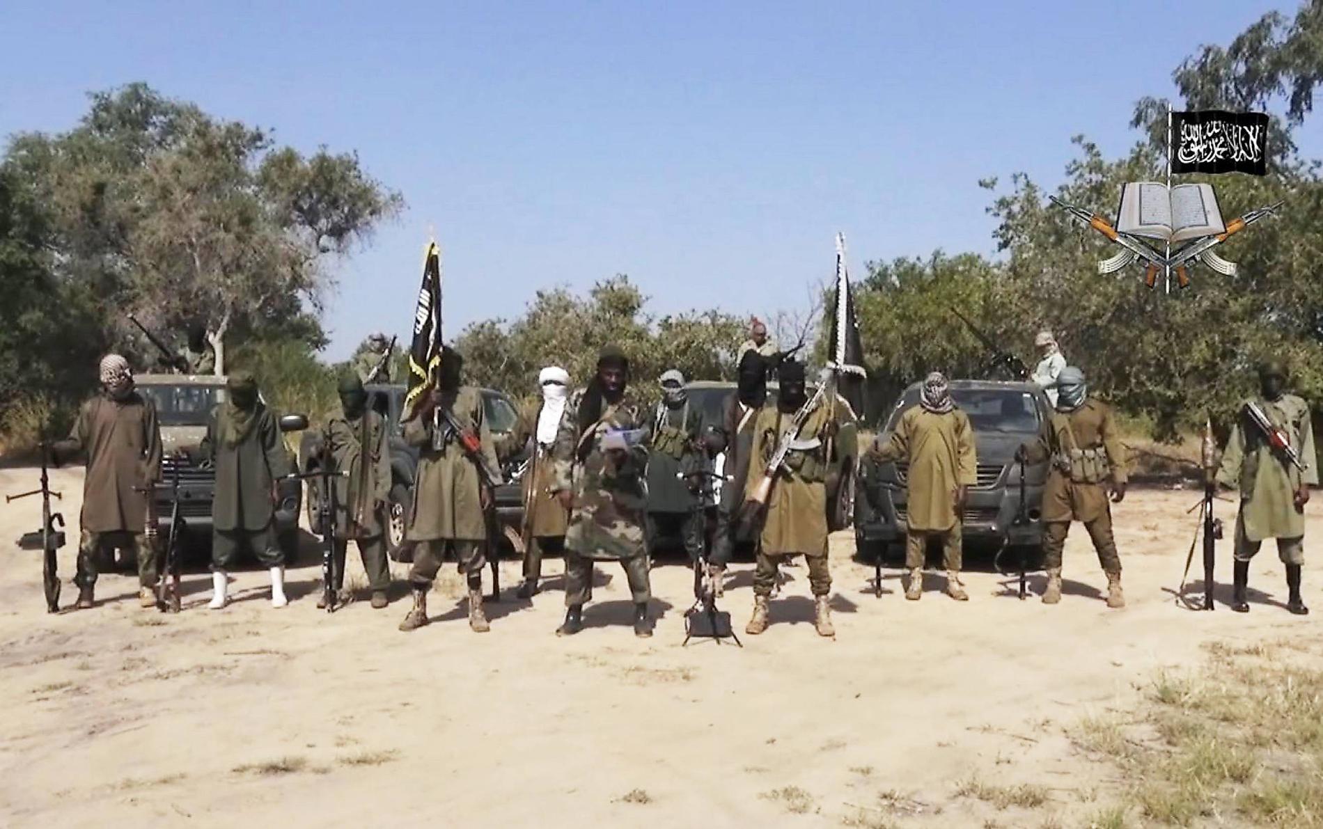 Den jihadistiska terrorgruppen Boko Haram beräknas bestå av mellan 4 000 och 6 000 medlemmar.