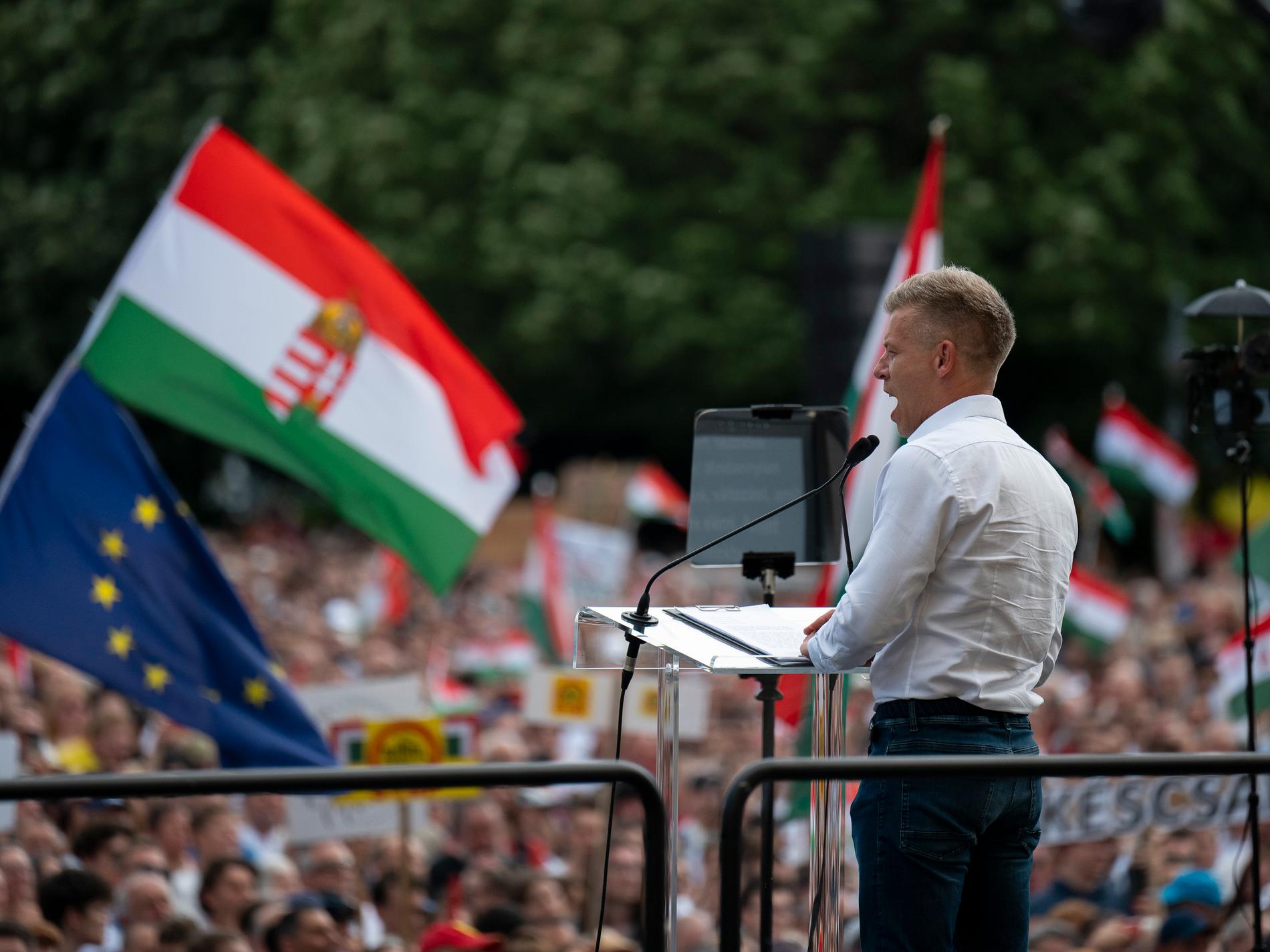 Tiotusentals demonstrerade i Fidesz-fäste