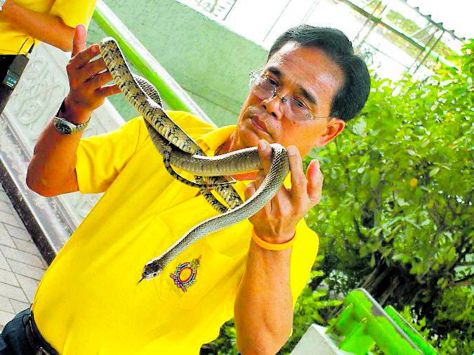 Full kontroll 2 Montri Chiobangroongkiat är chef för farmen. Han berättar underhållande om ormarna.