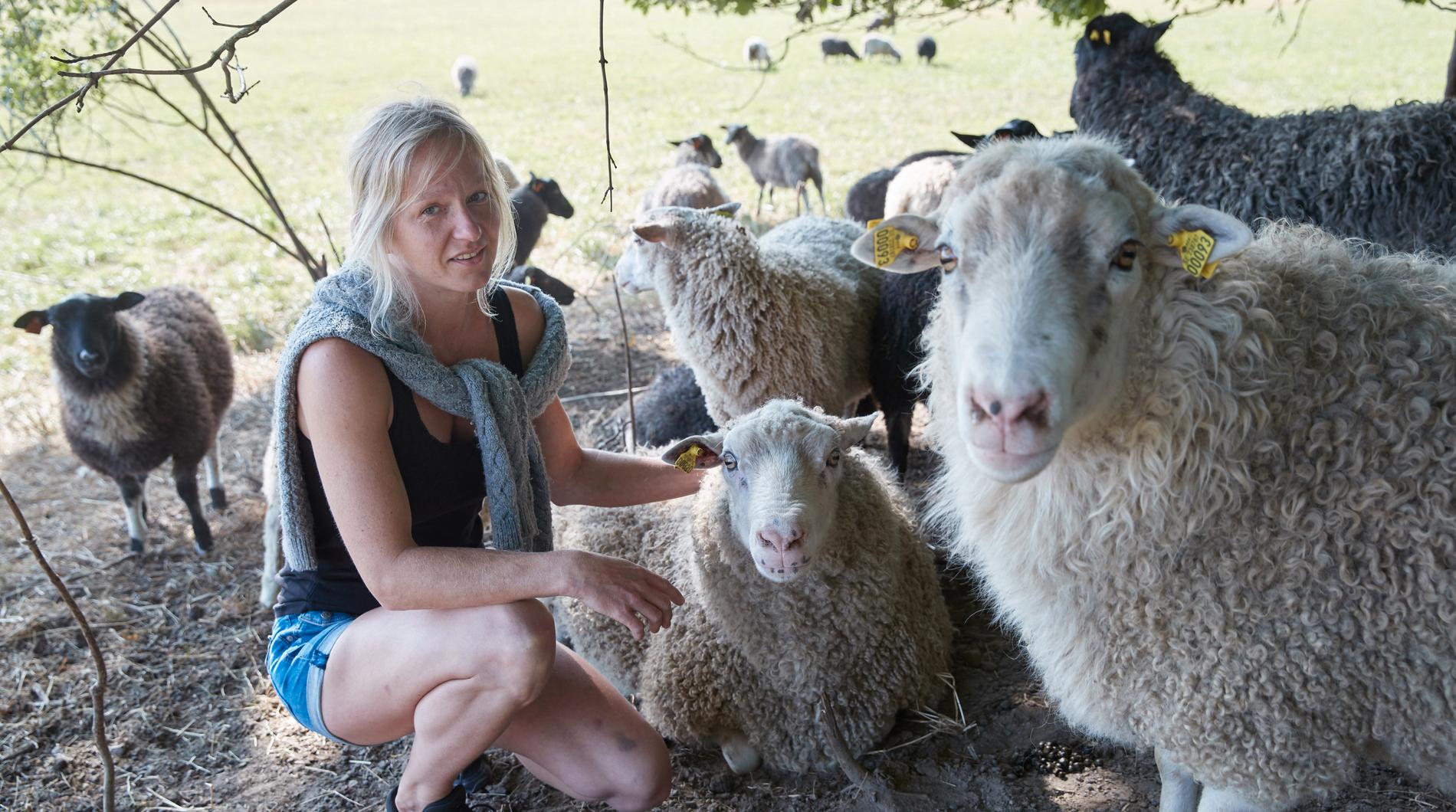 För Malin Brusquini, som fött upp lamm på gården i ett eget sidoföretag, blev sommaren 2018 bara för mycket. Hon har bestämt sig för att lägga av.