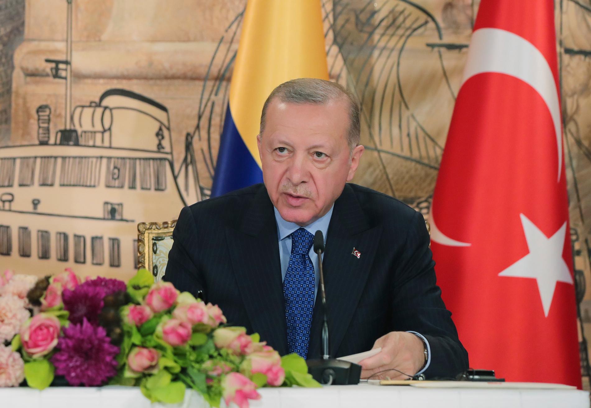 Turkiets president Recep Tayyip Erdogan fotograferad vid en presskonferens i Istanbul i fredags.