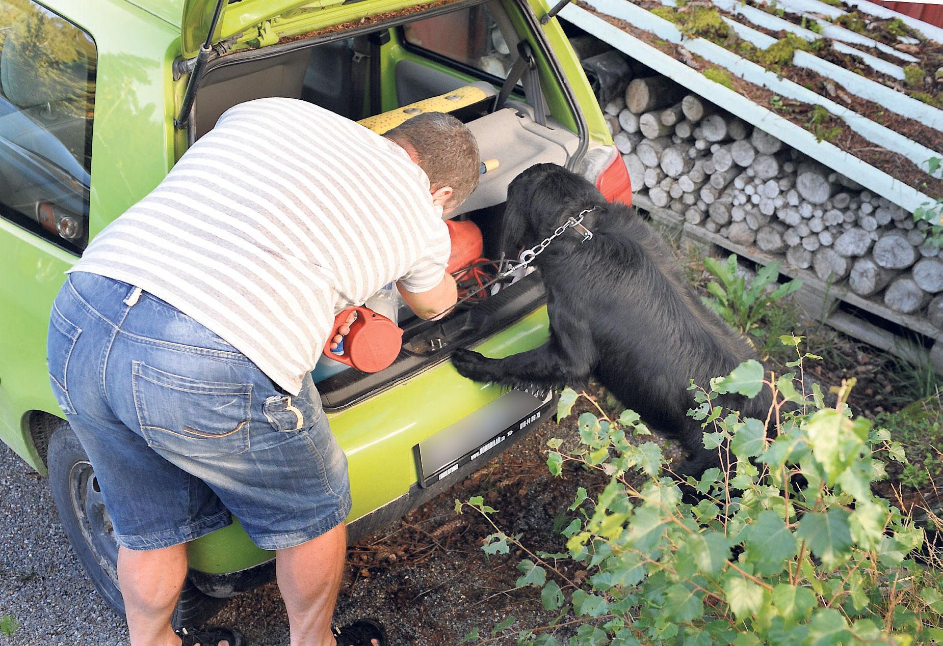 Hunden fick undersöka Marina Johanssons ena bil i jakt på eventuella spår.