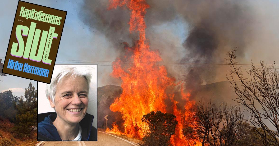 Ulrike Hermann har skrivit ”Kapitalismens slut – myten om grön tillväxt”. I bakgrunden sommarens skogsbrand på ön Kirkis i Grekland.