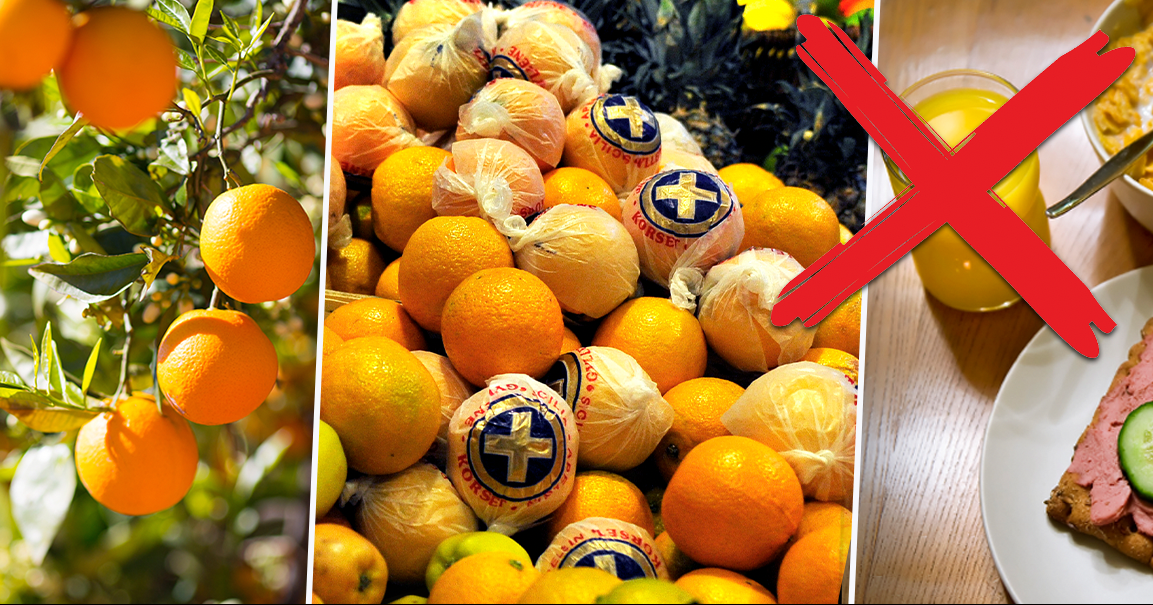 Gula draken hot juicehyllorna – apelsinerna snart slut