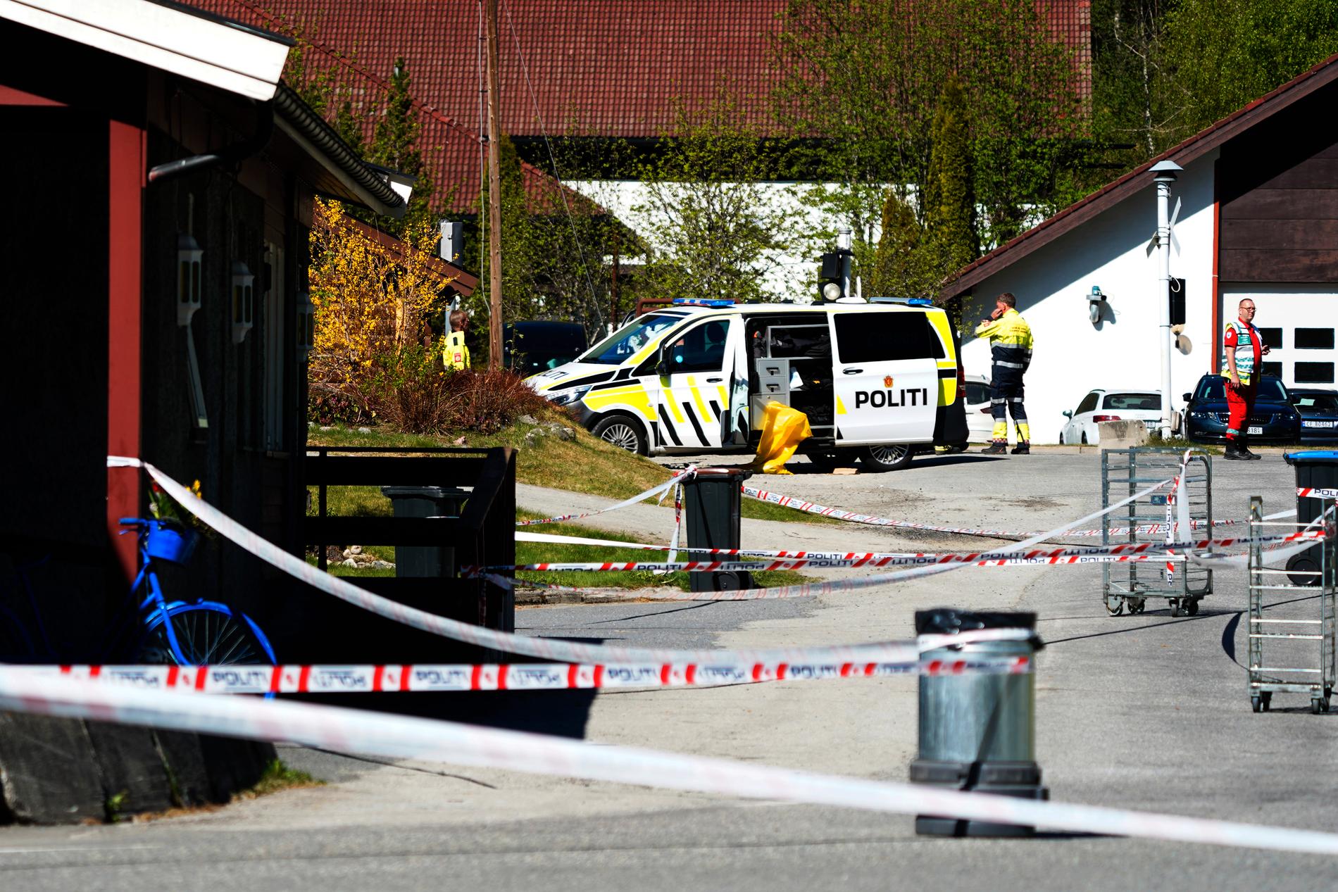 Ett knivangrepp har skett i Nore, i dalgången Numedal i centrala Norge.