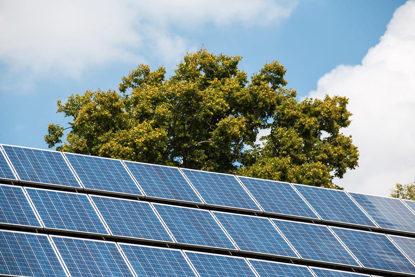 Regeringen satsar nästan 1 miljard kronor på stöd till solceller under 2018.