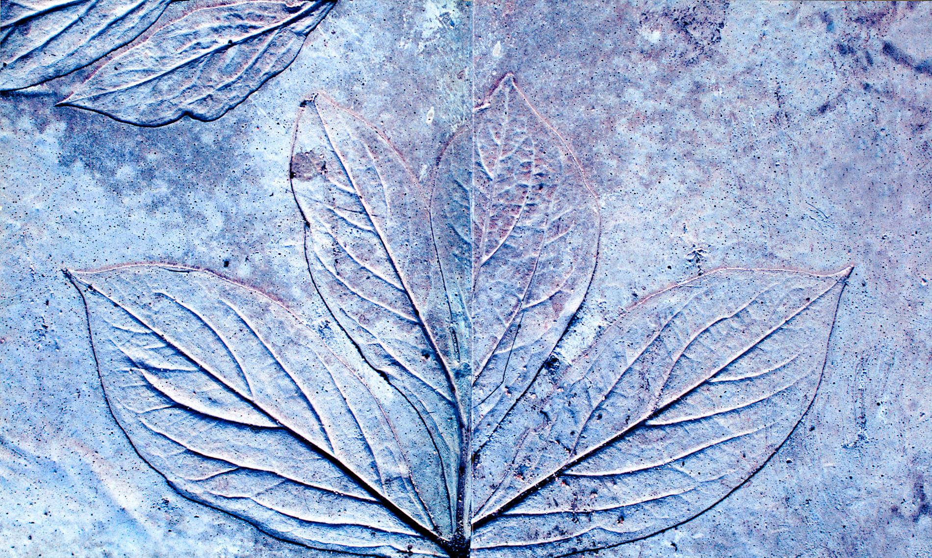 Dekorativa blad på en gjuten betongplatta