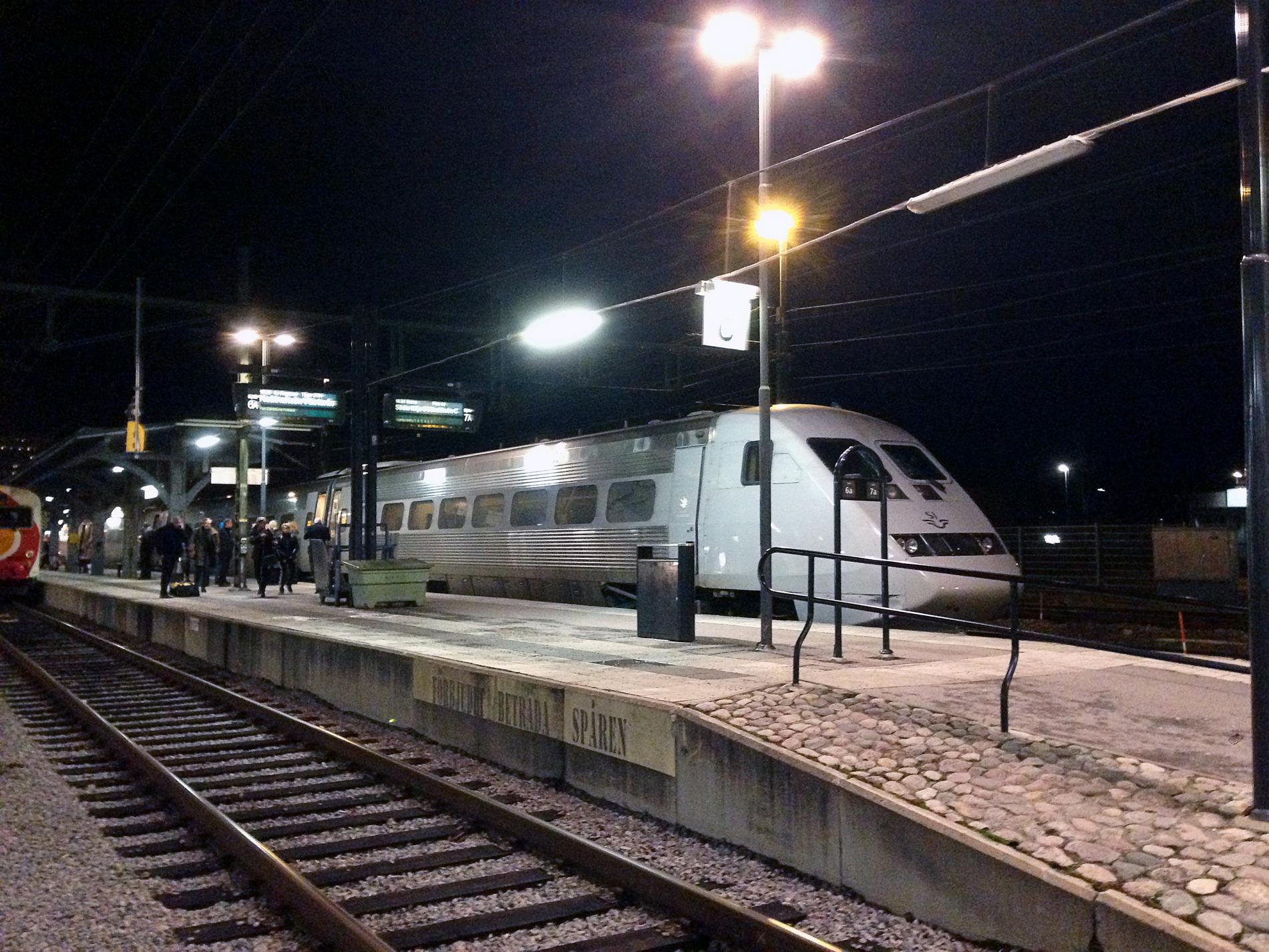 Ett tåg stod stilla på Norrköpings centralstation efter att ett träd ramlat på en ledning i närheten av Nyköping.