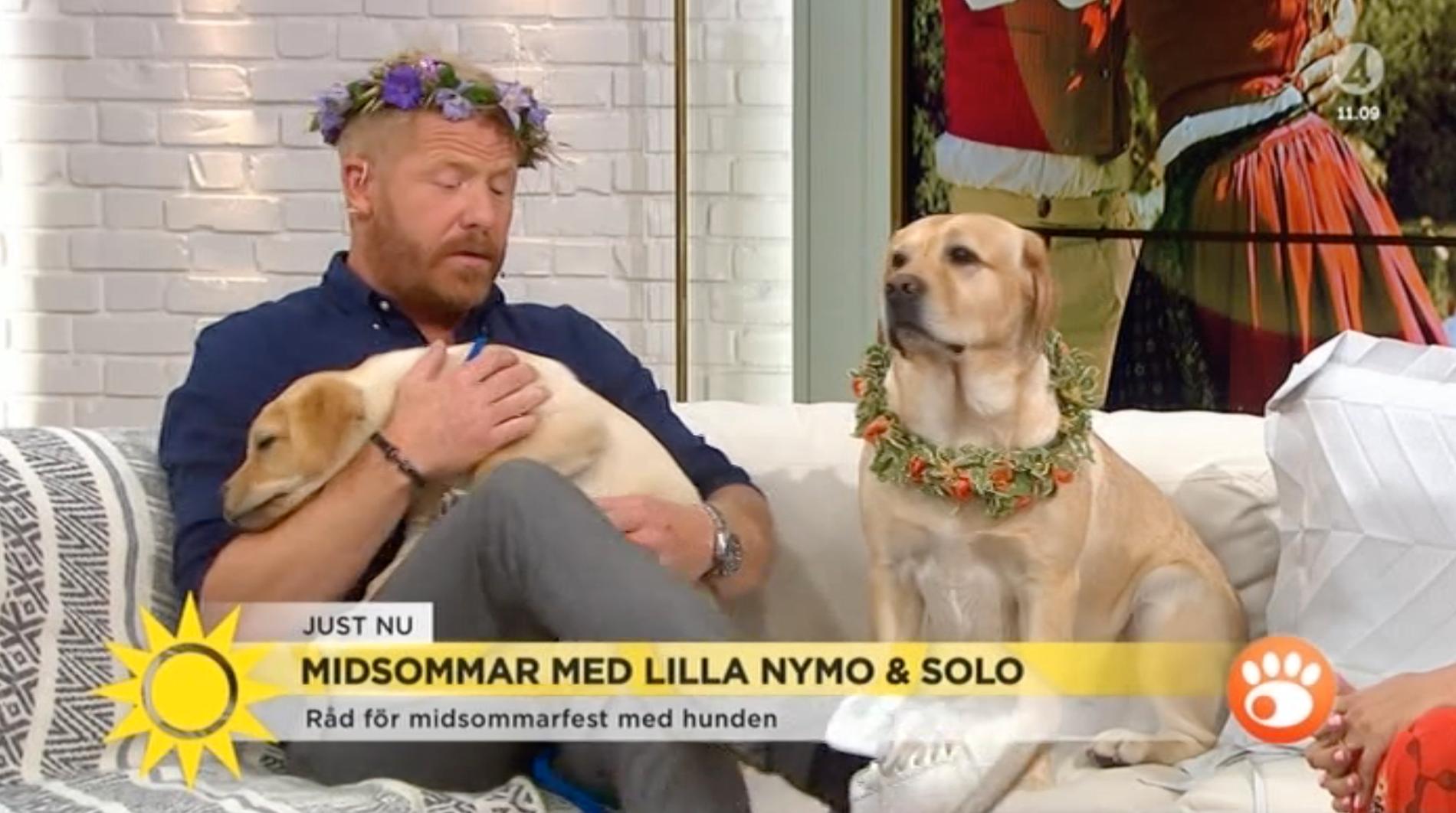 Fredrik Steen, Solo och Lilla Nymo.