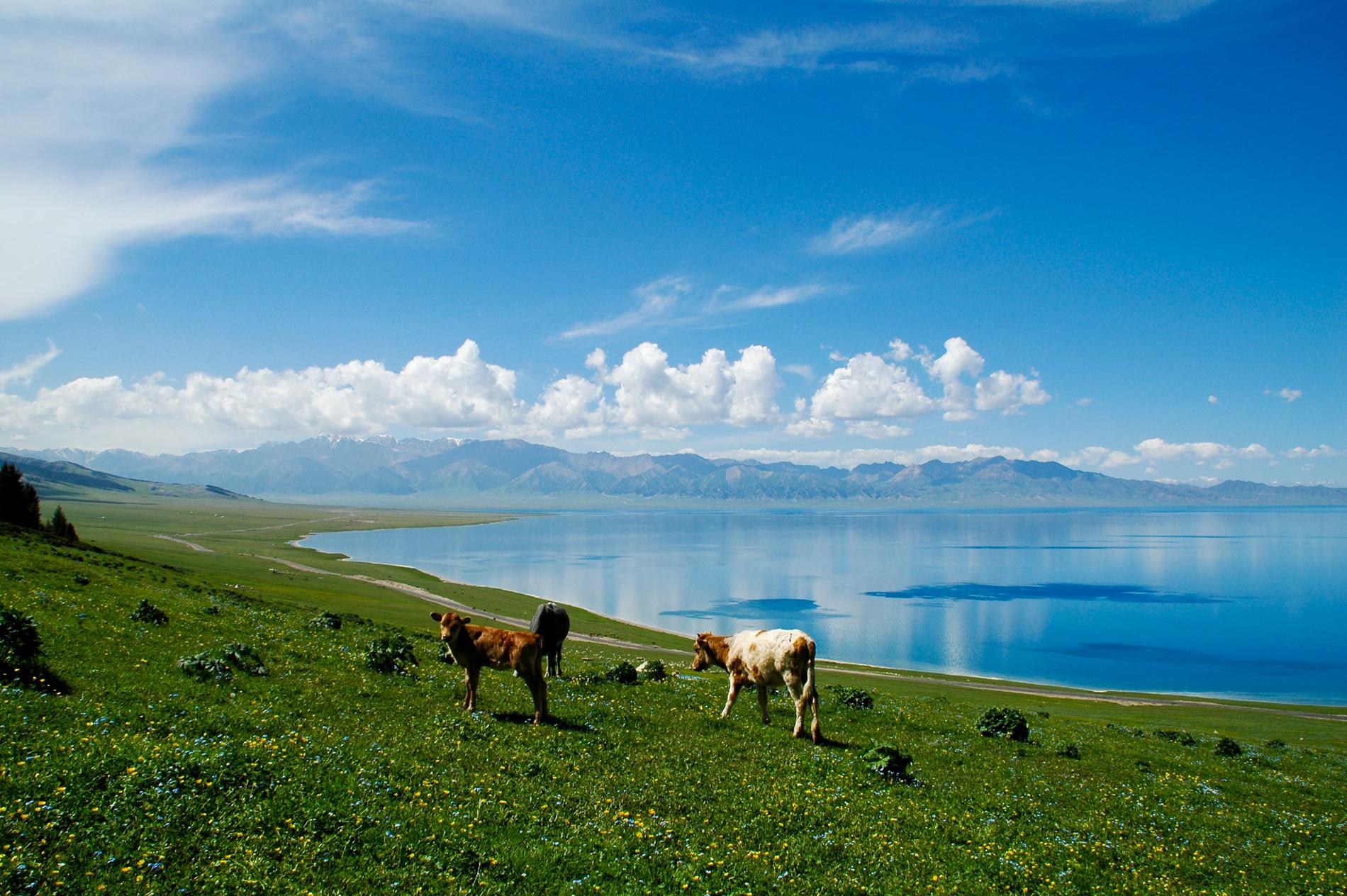 Den natursköna Xinjiang-provinsen har de senaste åren skakats av blodiga upplopp.