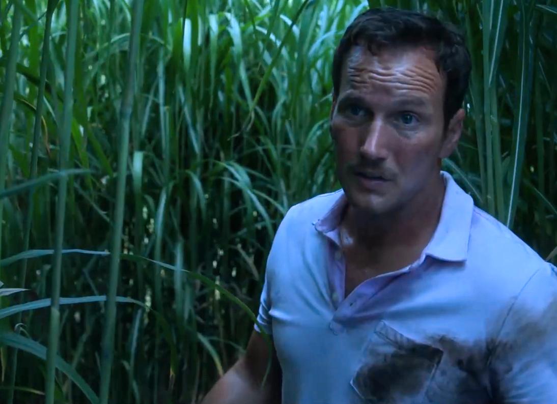 Patrick Wilson i ”In the tall grass”.
