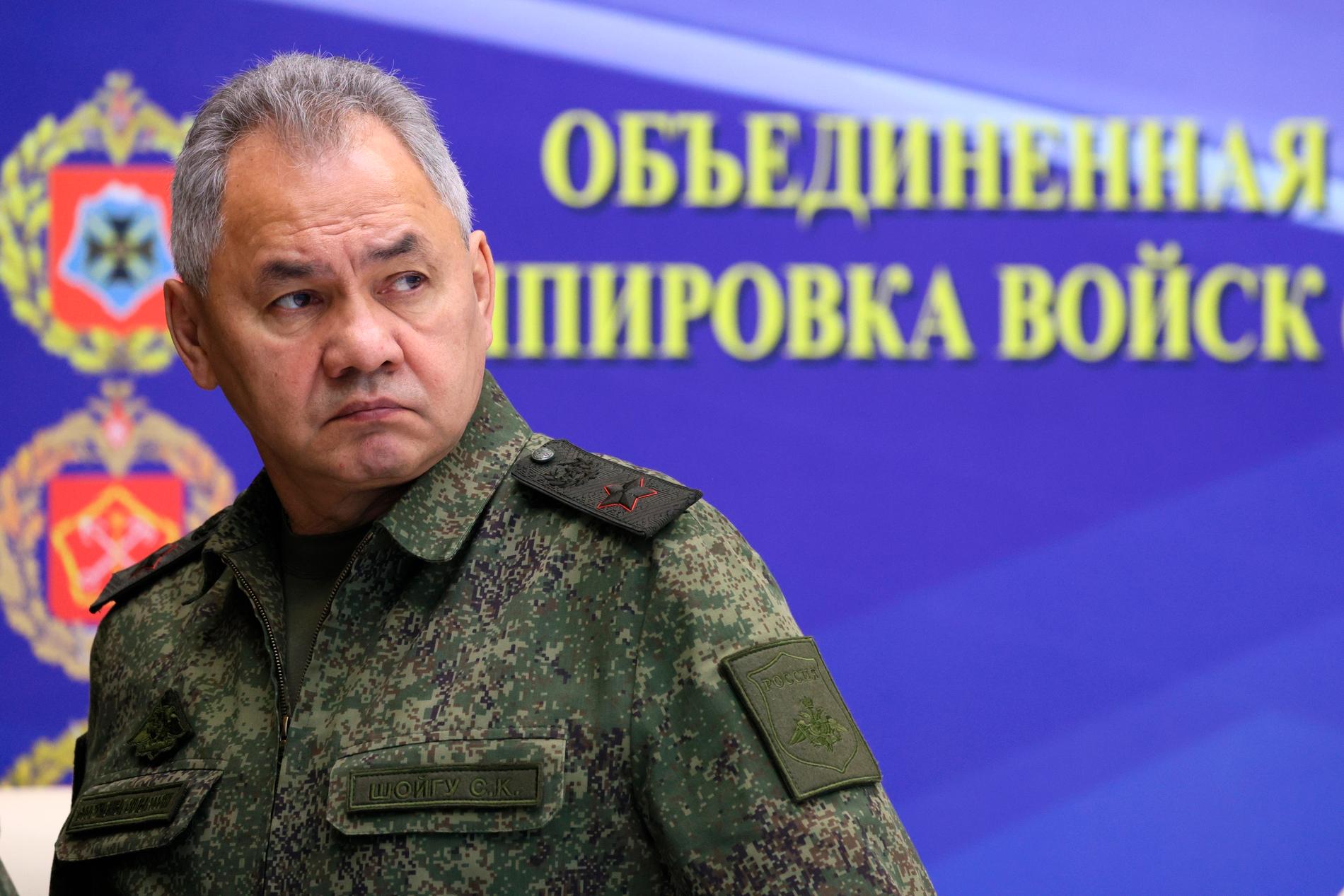 Den ryska försvarsministern Sergej Sjojgu.