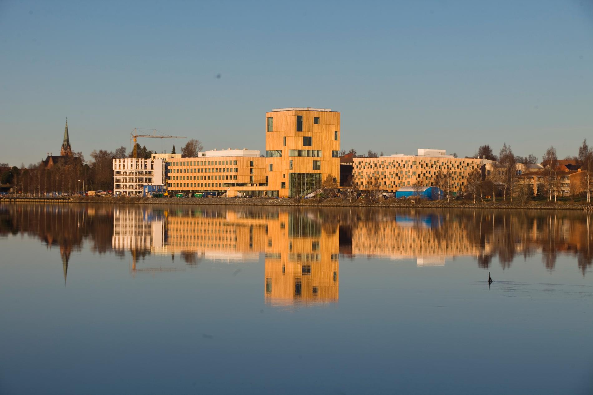 Konstnärligt campus vid Umeå Universitet. Arkivbild