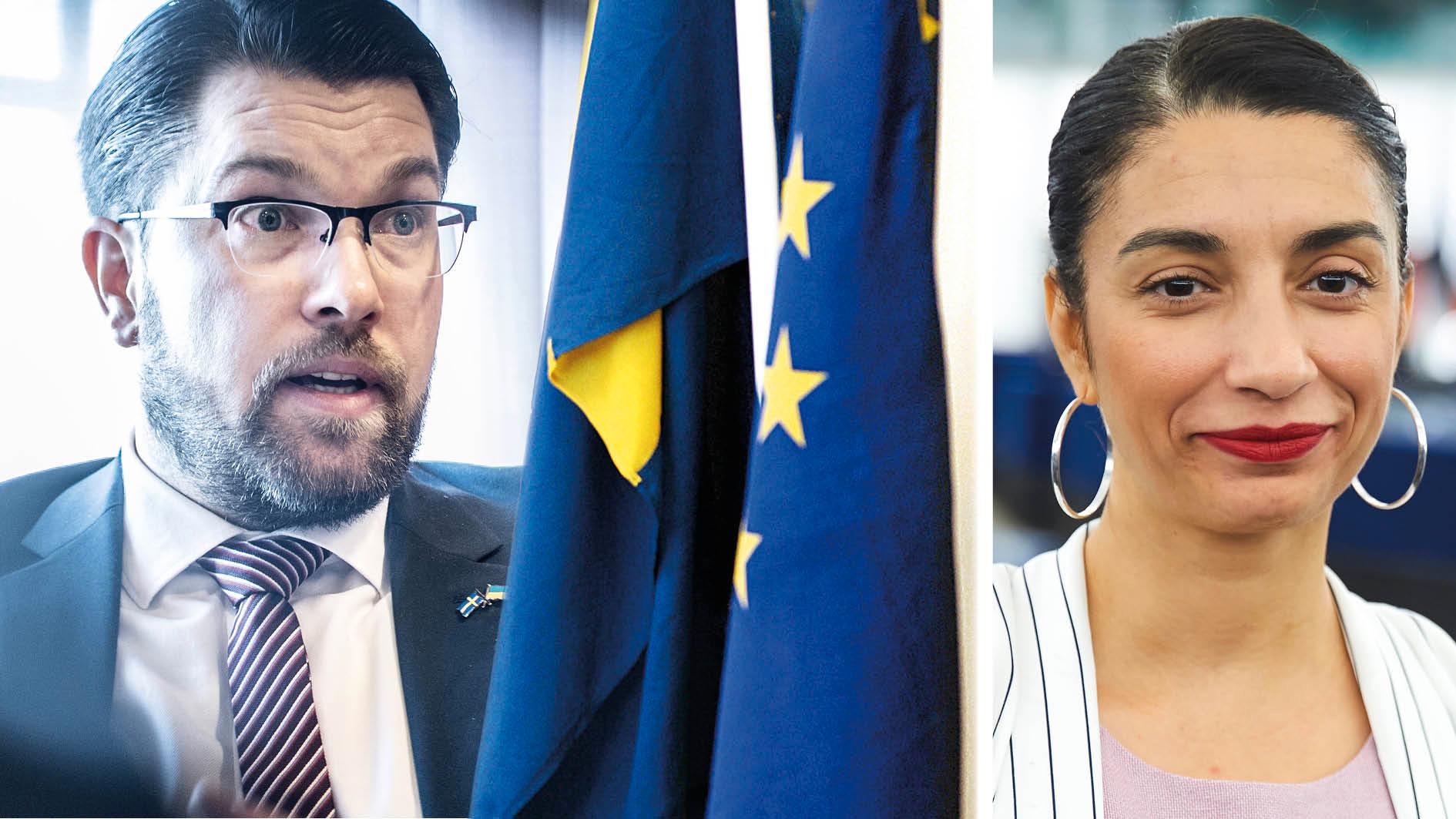 Sveriges tar snart över ordförandeskapet i EU. Att vi ska representeras av en regering med SD i framsätet kan få hissnande konsekvenser för Europa, skriver Evin Incir.