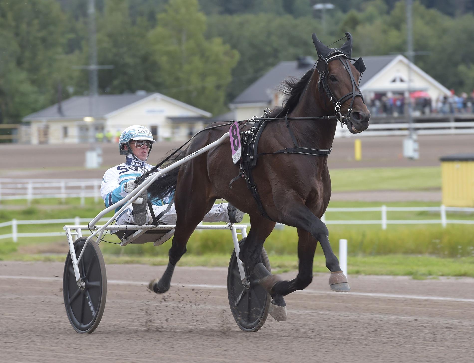 Sportbladets krönikör Mattias Karlsson vill se att Solvalla-stjärnan Propulsion blir nästa häst att bli inbjuden till Elitloppet: ”Känn stolthet över de egna”