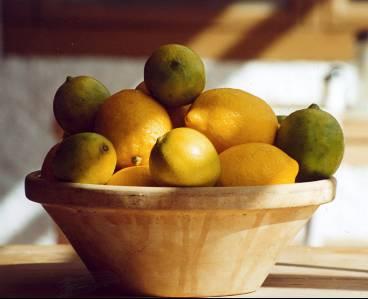 Tänk på att citronen ska vara mogen och ha ett glänsande klargult skal. Köp helst KRAV-odlade och tvätta alltid i ljummet vatten. Saften går lättast att pressa ur om citronen har rumstempearatur och rullas under tryck mot hårt underlag innan den pressas.