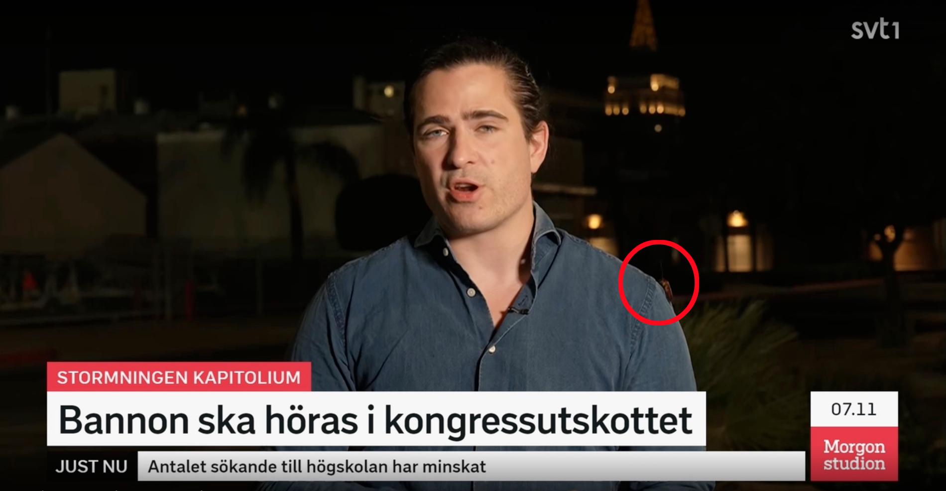 Kackerlackan dök upp på SVT-korrespondenten Carl Fridh Klebergs skjorta...