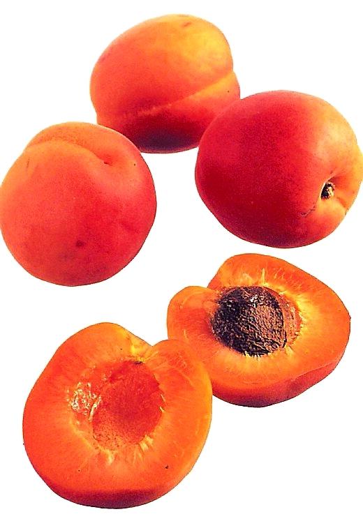 13. Aprikoser kan förhindra njursten Fiber, natrium och kalium i aprikoser hindrar mineraler från att samlas i urinvägarna och skapa njurstenar.