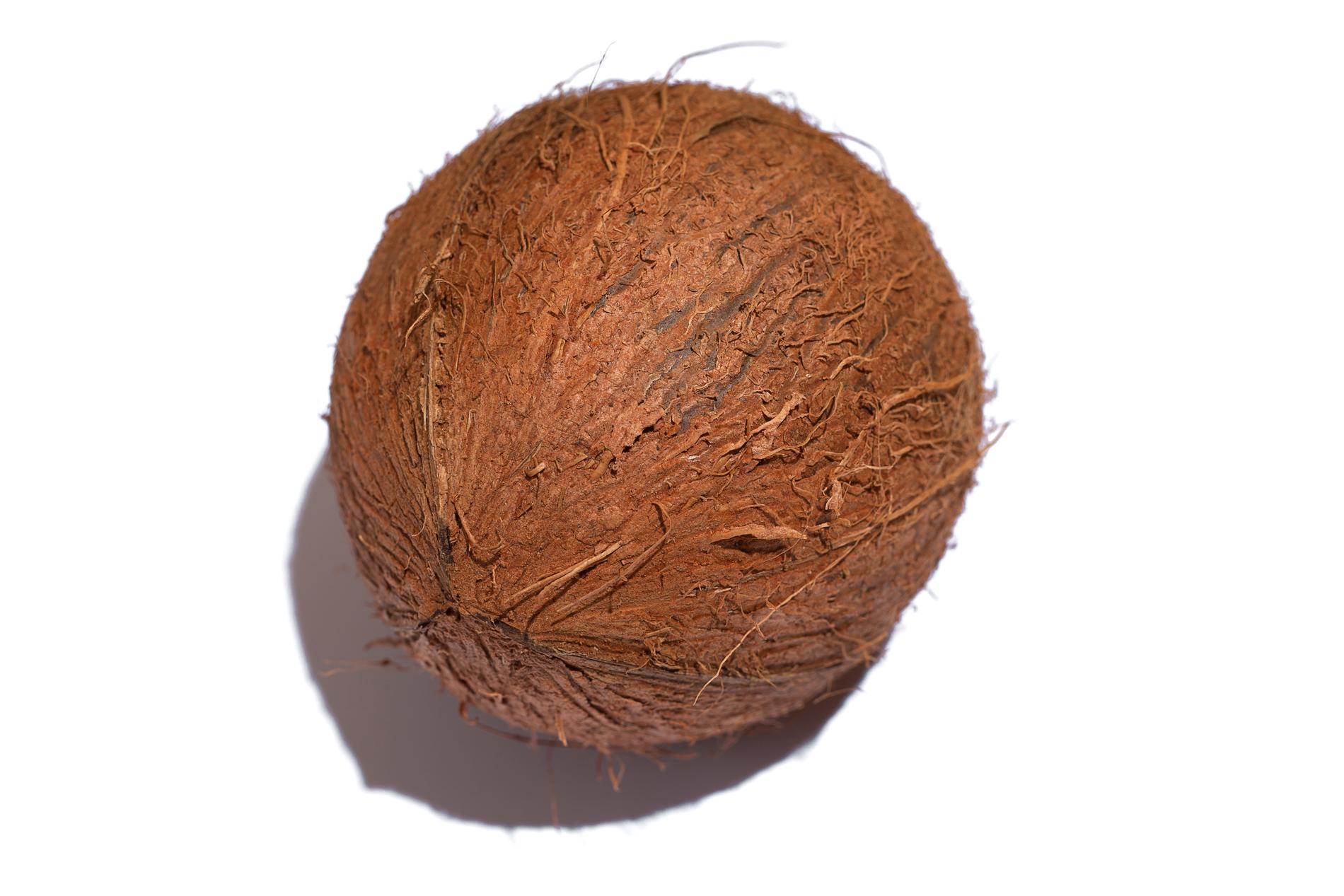 Fostret är stor som en kokosnöt.