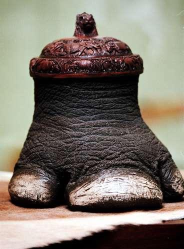 Foten av den svarta utrotningshotade noshörningen i form av en ishink. En av varorna du inte ska köpa.