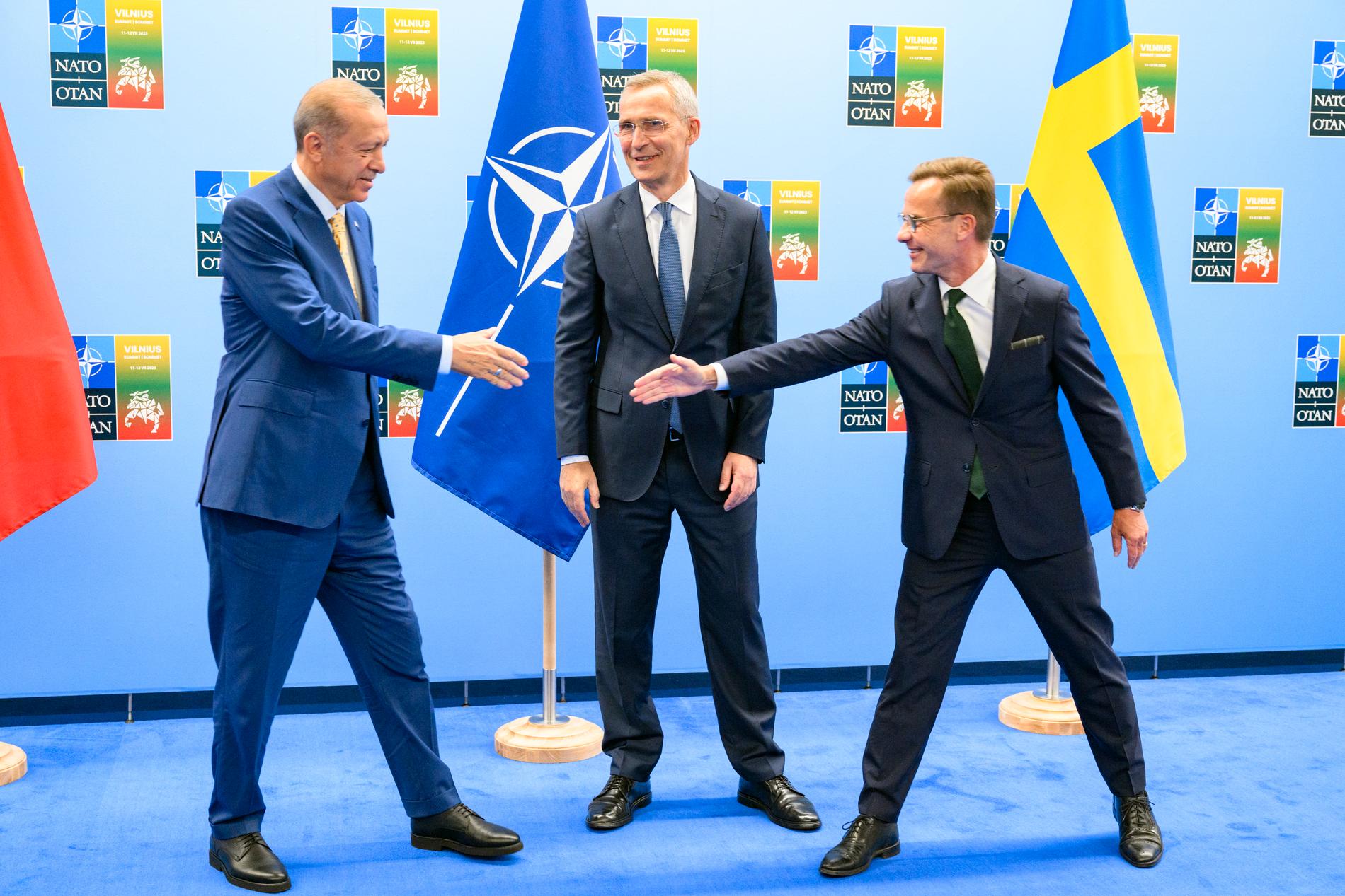 Erdogan, Stoltenberg och Kristersson i Vilnius inför Natos toppmöte.