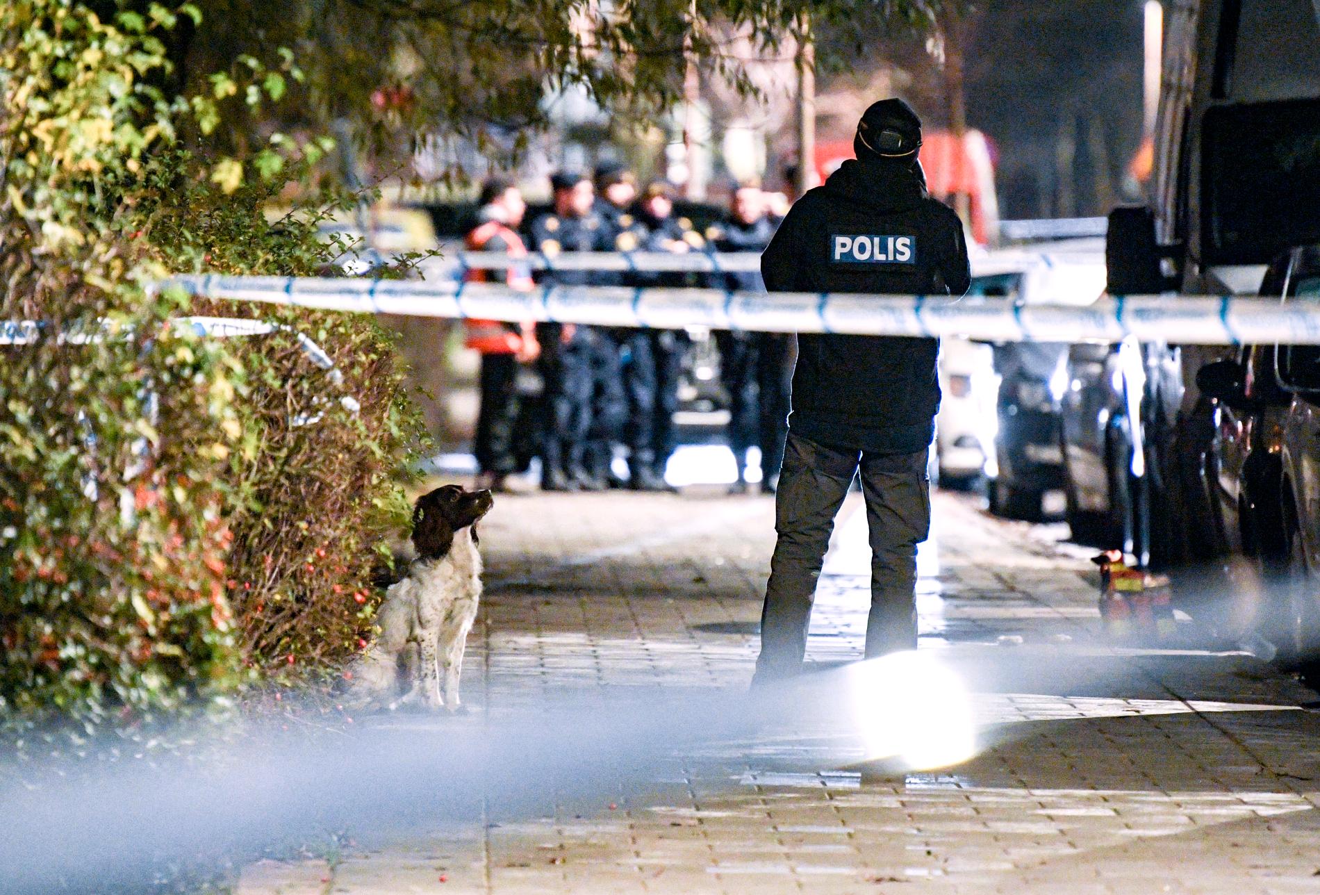 En tredje person har frihetsberövats efter mordet på en 25-årig man i Malmö den 2 december. Arkivbild.