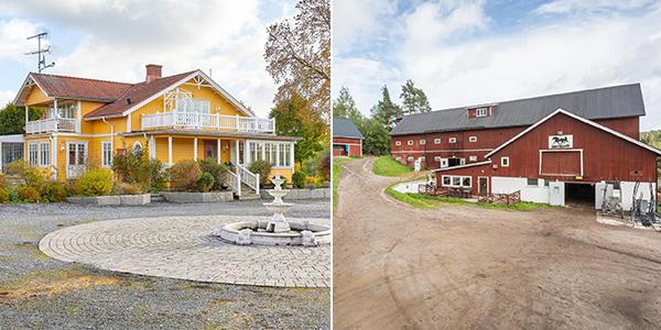 Under helgen nådde Robert Berghs andra gård i Sundsvall marknaden (höger på bilden). Det innebär att stortränaren nu har två stora gårdar ute till försäljning. 