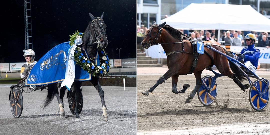 Önas Prince och San Moteur – två av de hästar som startar i Jubileumspokalen på Solvalla. 