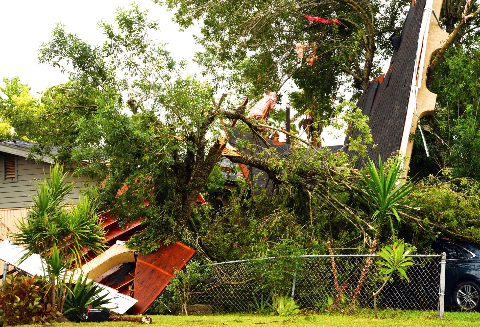 Ett hus har förstörts av ett omkullblåst träd i Brownsville i den amerikanska delstaten Texas.