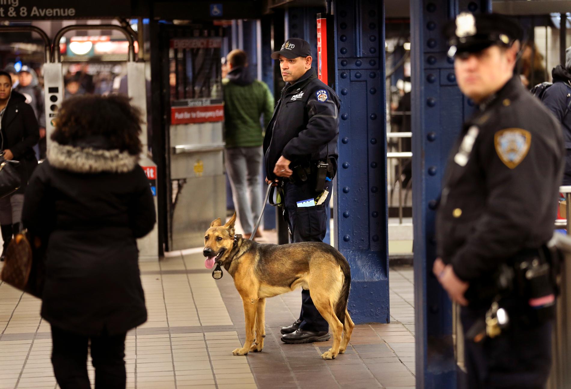800 poliser ska stoppa personer som försöker planka i New Yorks tunnelbana. Arkivbild.