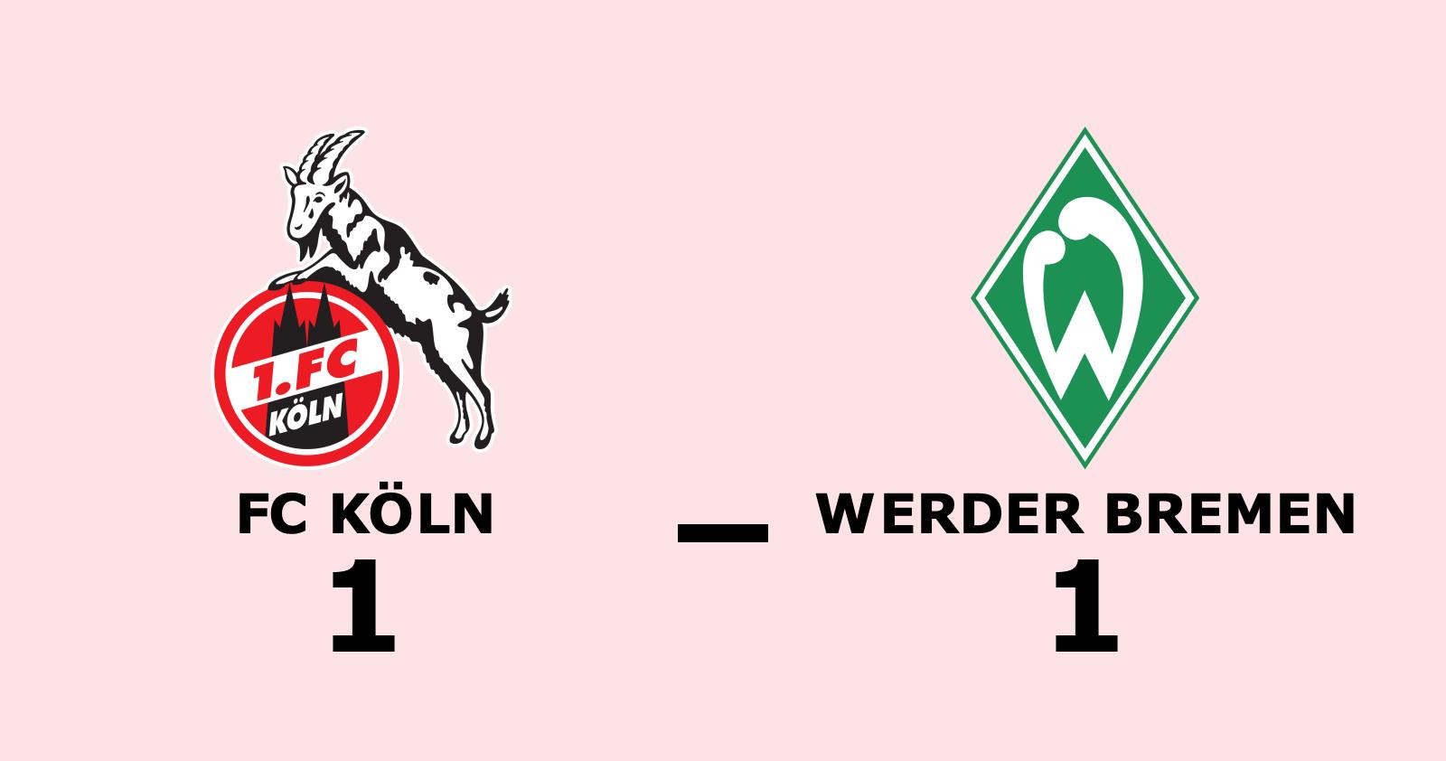 Delad pott när FC Köln tog emot Werder Bremen