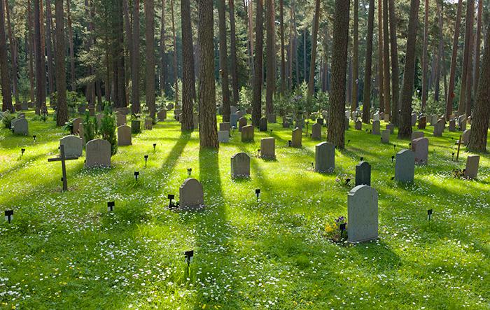 Skogskyrkogården i Enskede utanför centrala Stockholm är den begravningsplats i Sverige med mest gravplatser. 
