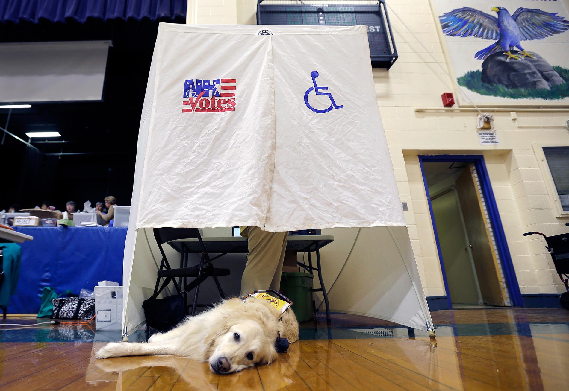 En hund väntar på att sin ägare ska lägga sin röst i USA-valet i en vallokal i New Hampshire på tisdagen.