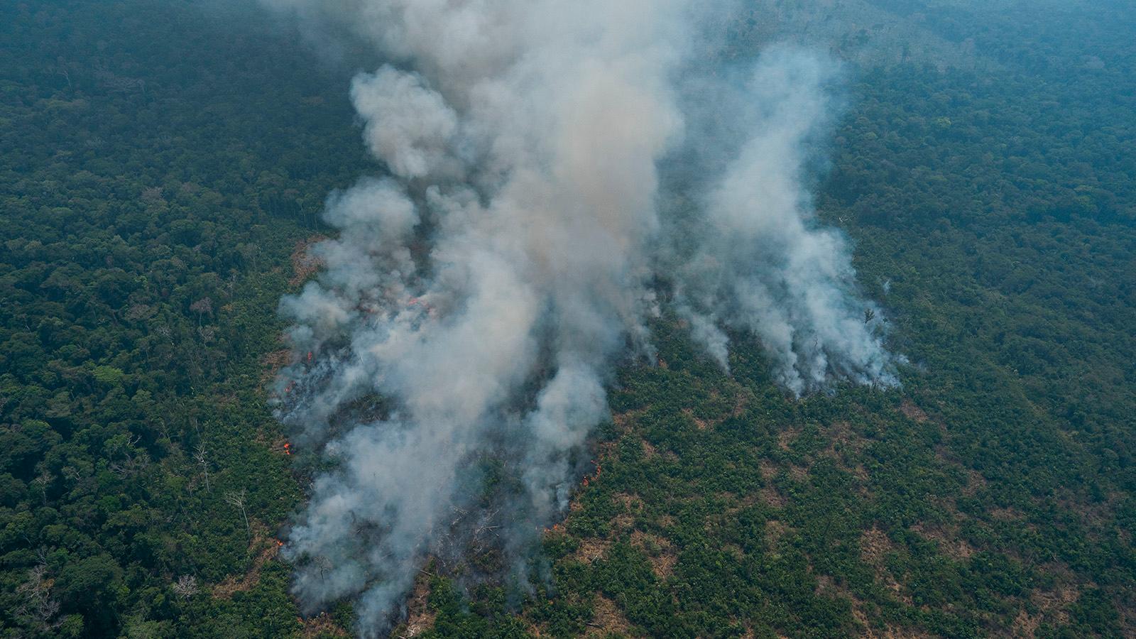 Bränder härjar i Amazonas djungel.