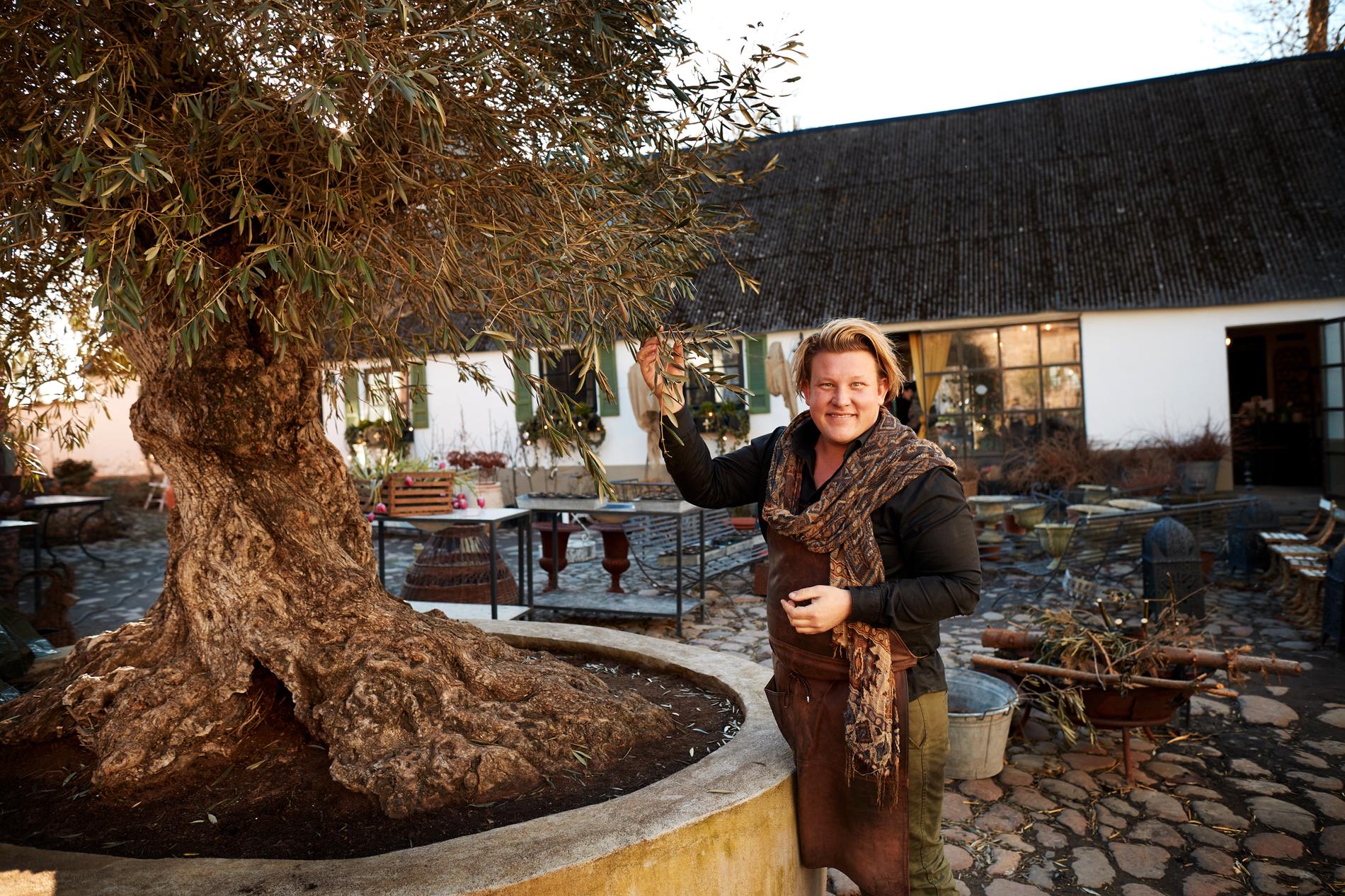Karl Fredrik med sitt 800-åriga olivträd.