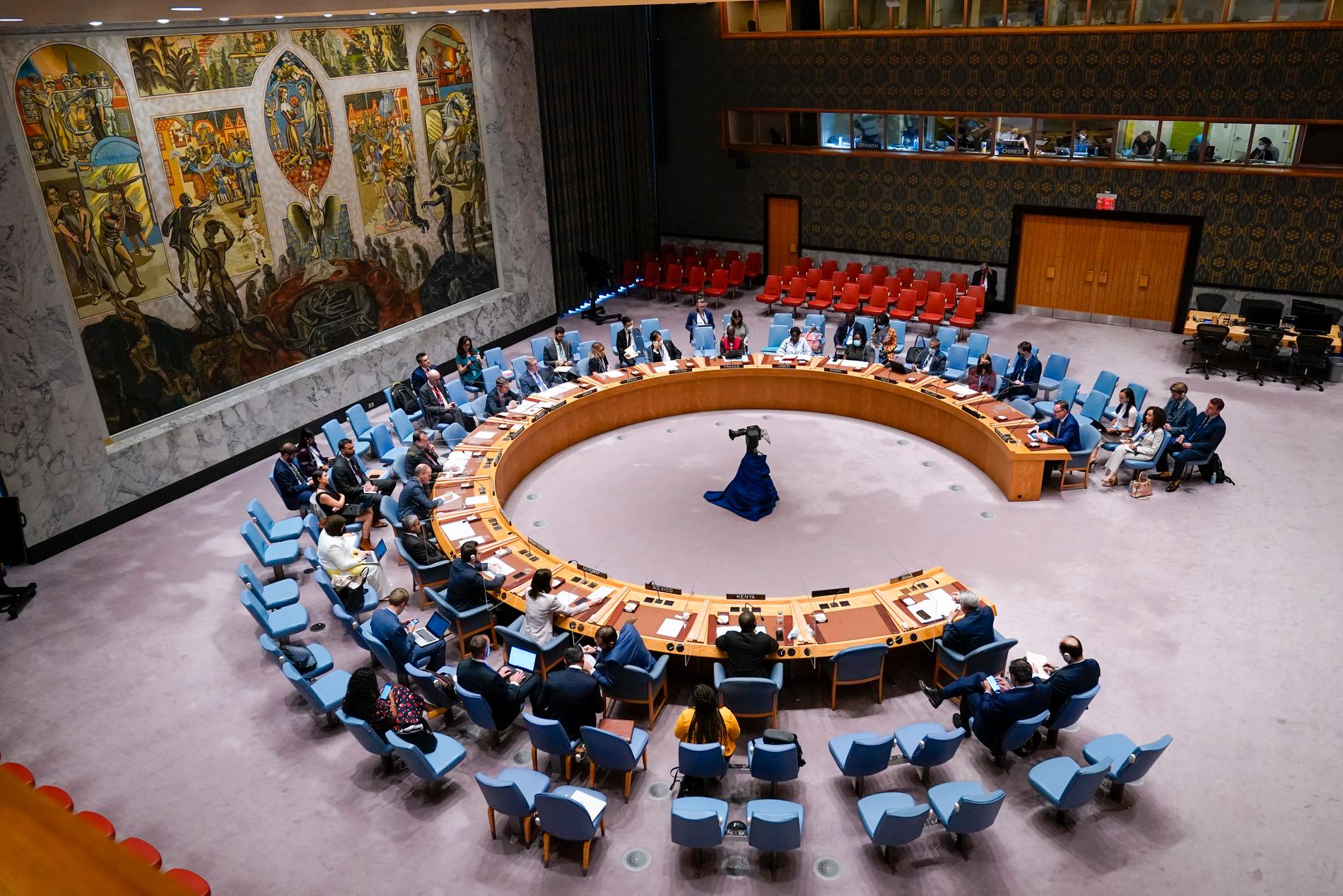 Säkerhetsrådets möte i FN-högkvarteret i New York den 8 juni.
