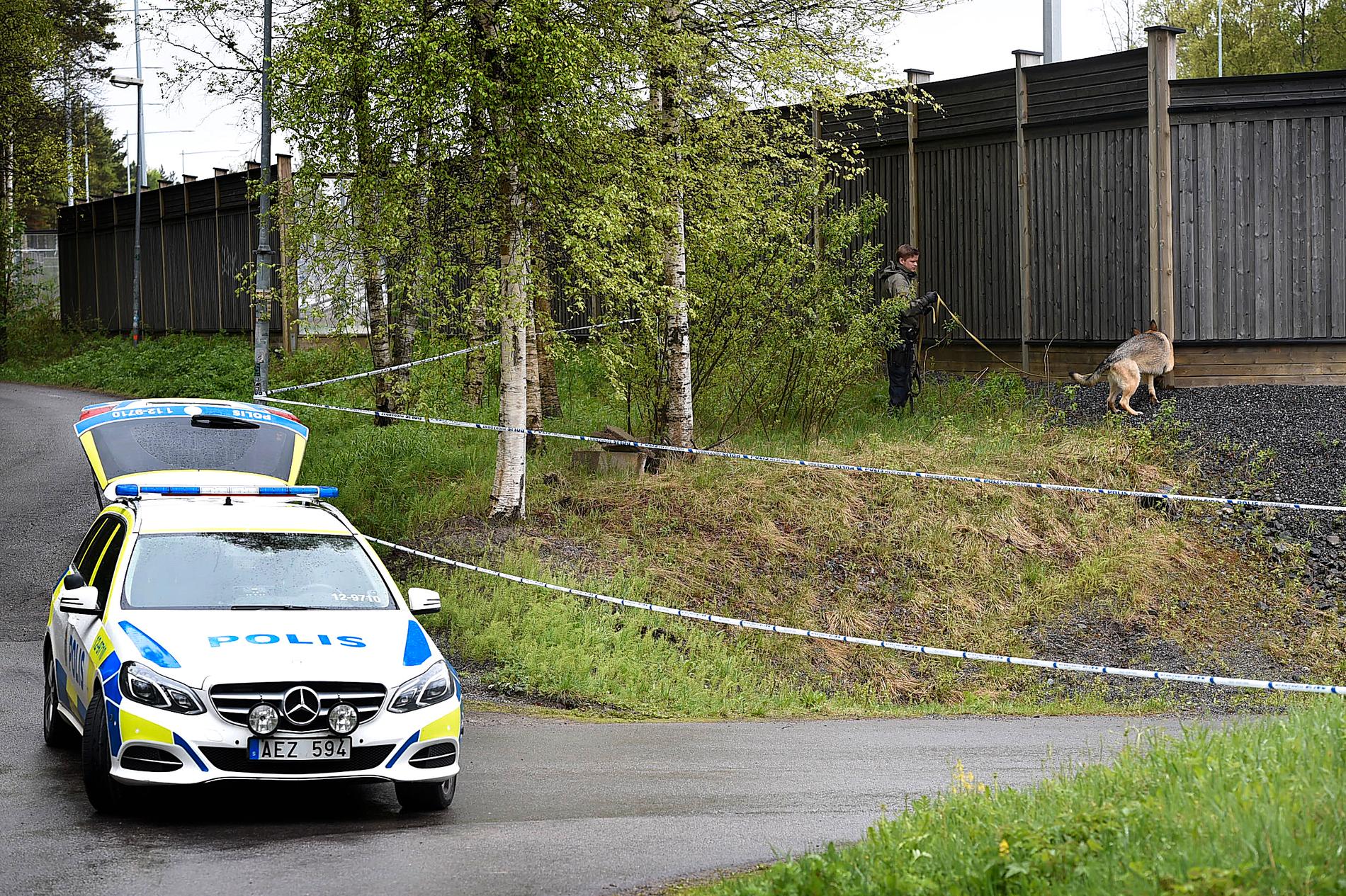 Polisen undersöker platsen för fredags våldtäkt i Åliden, Umeå.