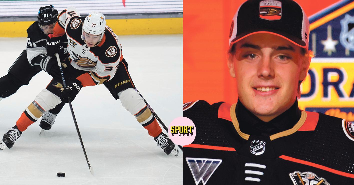 Leo Carlsson tar plats i Anaheim Ducks – stannar i NHL