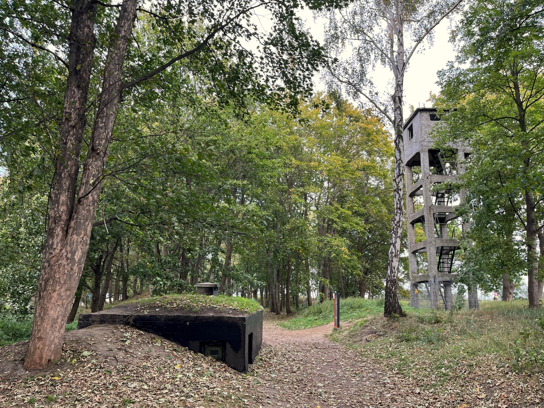 Ruin i skogen i Westerplatte utanför Gdansk i Polen.