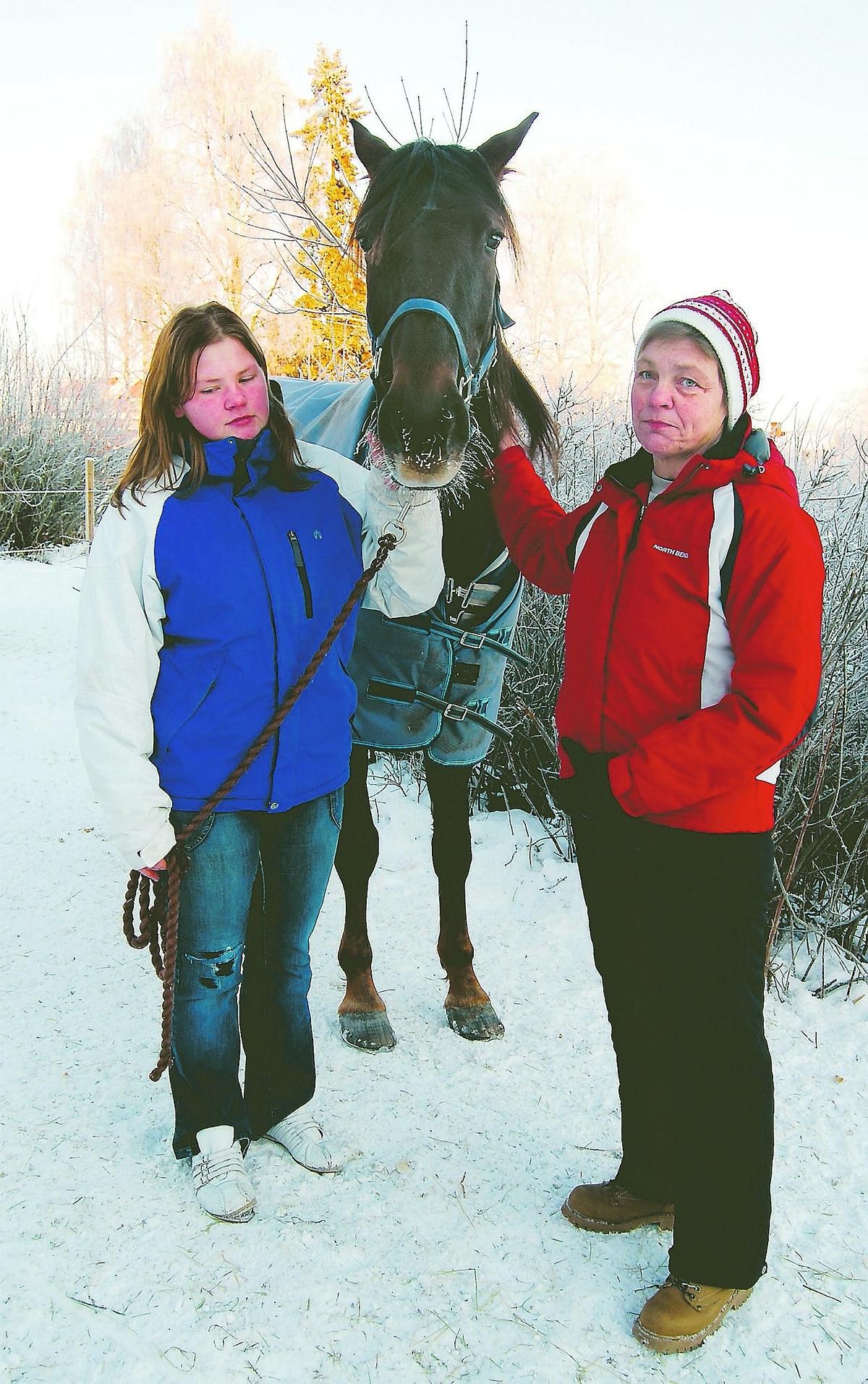 attackerade Ingalill Vantunen Perssonas dotter Gina upptäckte att någon rispat åttaåriga travhästen Gilda i underlivet. Och i går blev Ingalill överfallen hemma på gården av en okänd man.